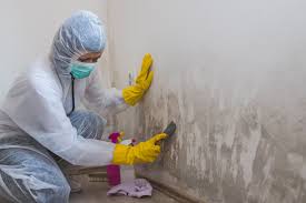 Why You Should Choose Our Mold Remediation Services in The Hideout, PA